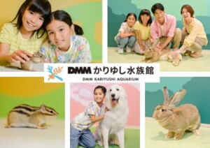 【DMMかりゆし水族館】この夏、新しい生きものたちが続々仲間入り!世界最大のウサギとの新たなふれあい体験も提供