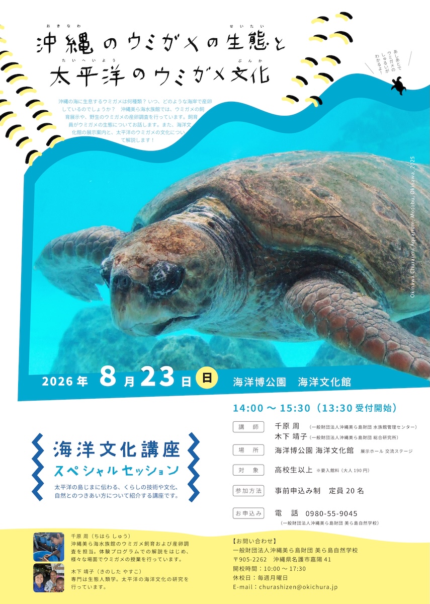 [Parc de l'Exposition maritime] Dimanche 23 août : Musée de la culture maritime × Aquarium Churaumi d'Okinawa – Session spéciale du cycle de conférences sur la culture maritime intitulée « L'écologie des tortues marines d'Okinawa et la culture des tortues marines dans le Pacifique »