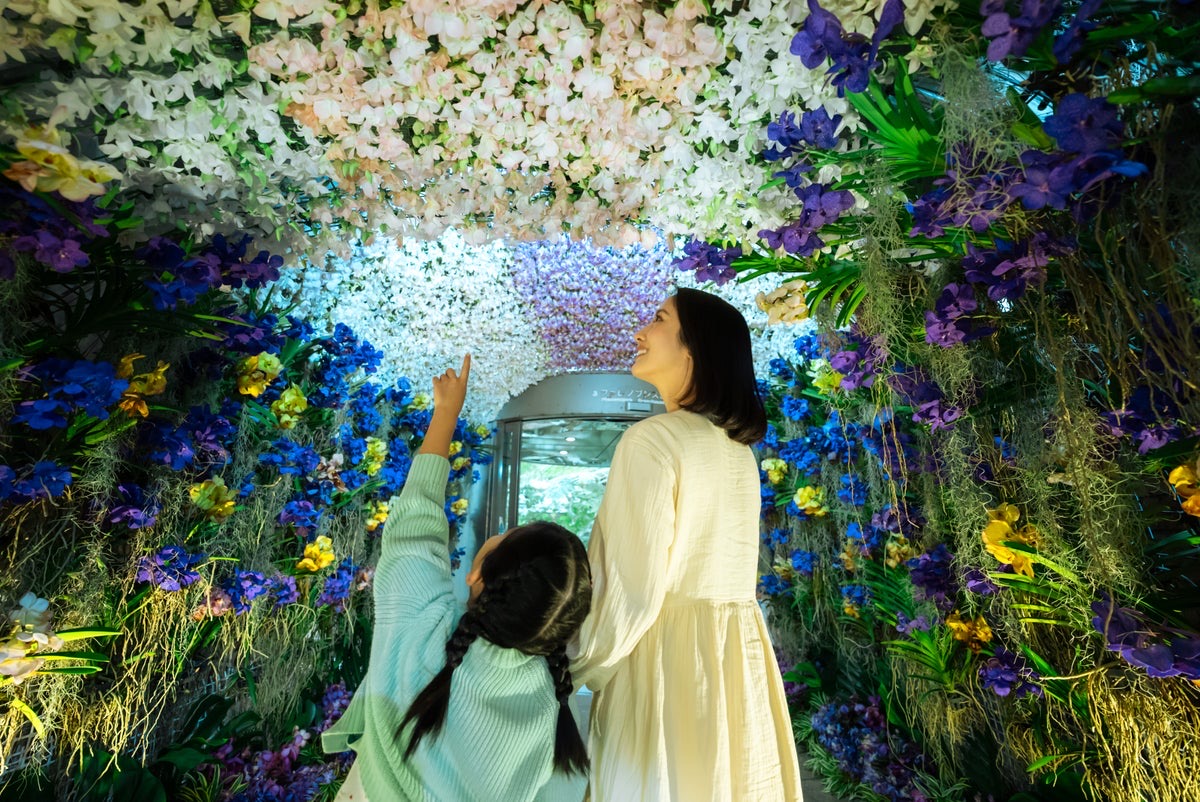 ランの花で覆われたトンネルを見上げる親子（熱帯ドリームセンター）